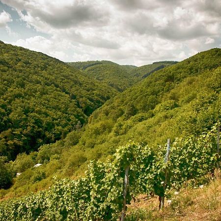 Ferienwohnungen Lithos Oberwesel Eksteriør billede